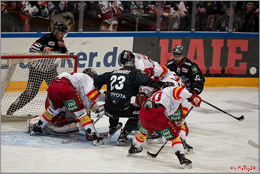 Koelner Haie - Duesseldorfer EG, 18.12.2016